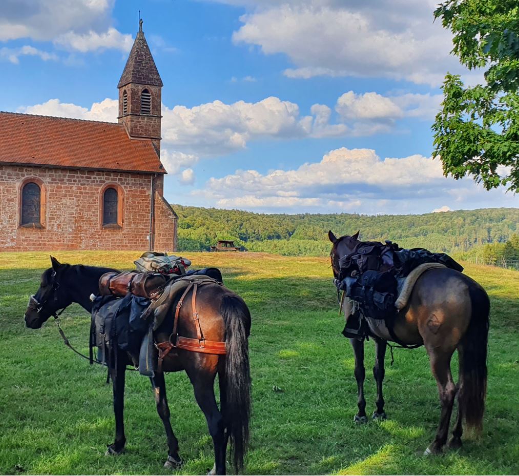 Gérer l'effort du cheval sur plusieurs jours